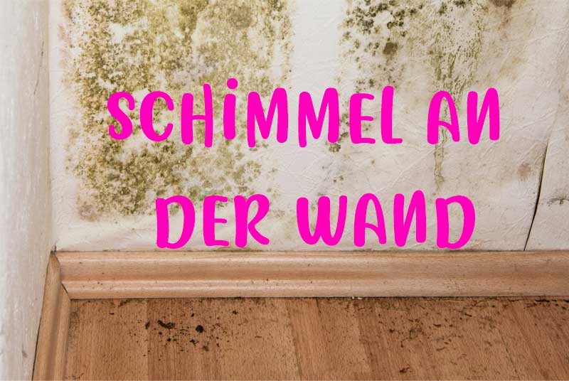 Schimmel an der Wand | Tipps zur Entfernung, Schilder von Trockenbau, Gemalt