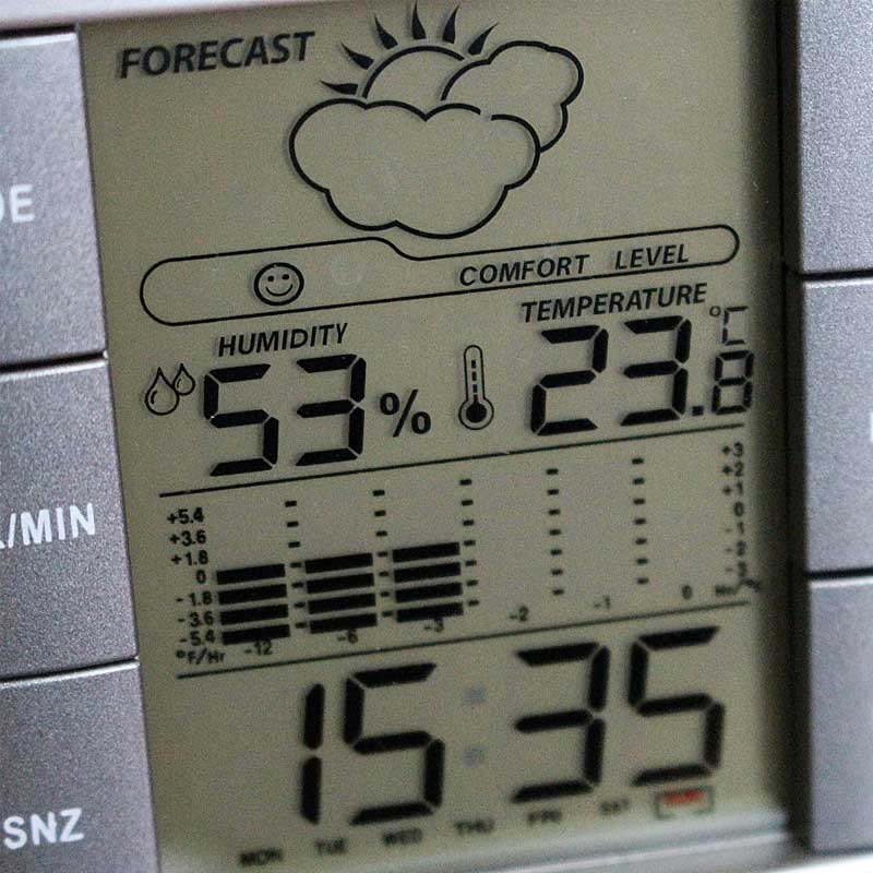 Schimmel im Wesentlichen durch Feuchtigkeit verursacht wird