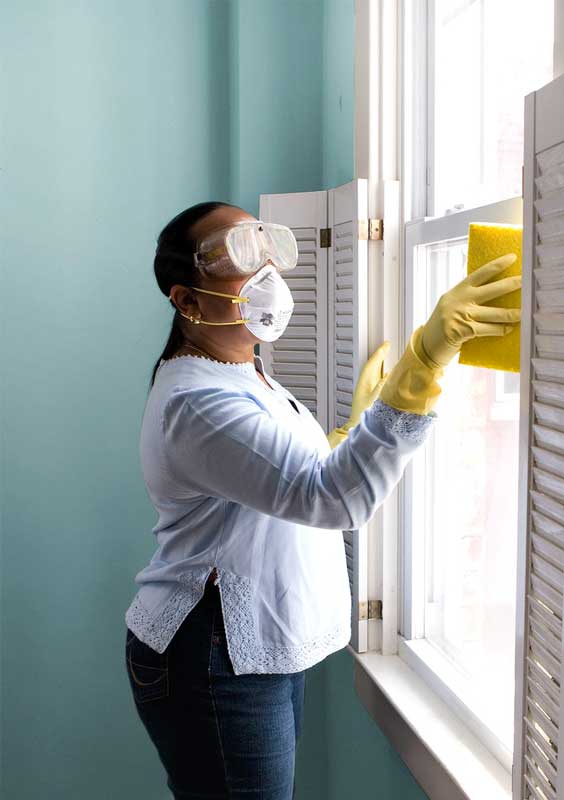 Wie man Schimmel am Fenster entfernen