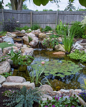 Kleiner Gartenteich Bepflanzen: Natürlicher Wassergarten mit Bachlauf