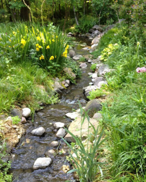 Kleiner Gartenteich mit Bachlauf: Naturnaher Wasserlauf mit Frühlingsblühern